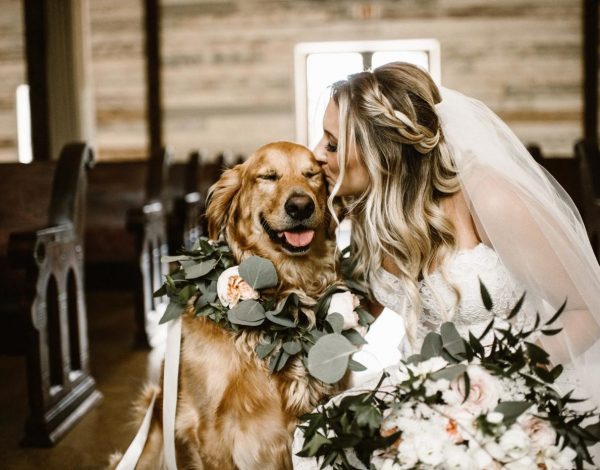 Pet wedding alert! Πώς θα πάρετε τον σκύλο σας στον γάμο σας